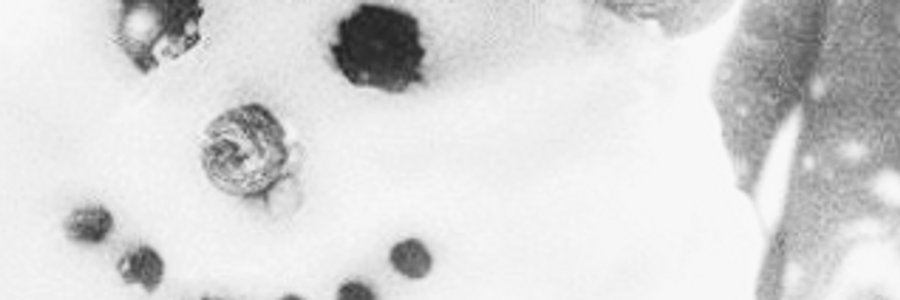 Cover image for post Wallace Stevens in the Bedroom, by Clburdett