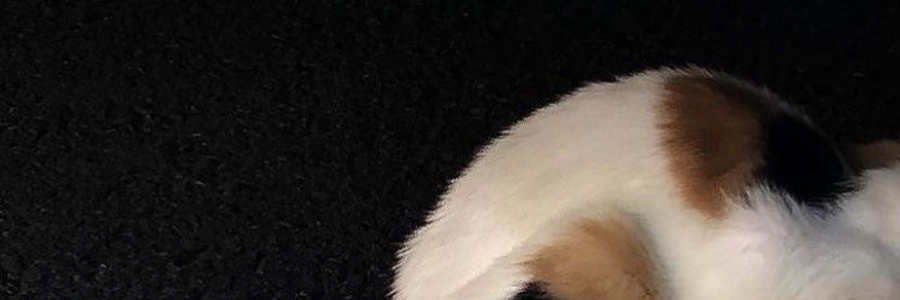 Cover image for post Thought , by Autumngirl