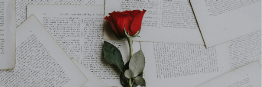 Cover image for post Harper, by KassandraDick