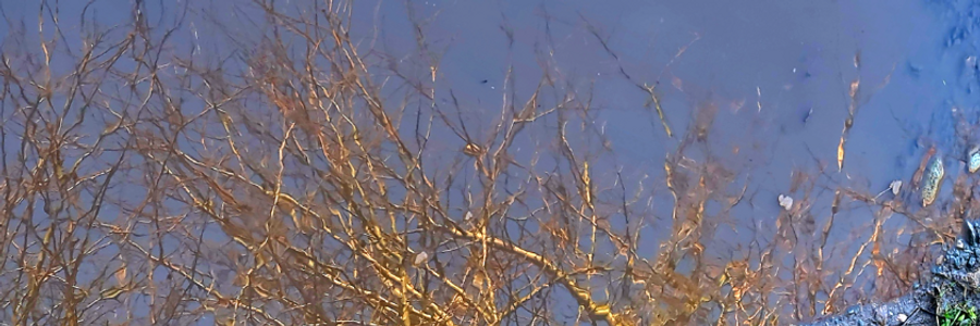 Cover image for post Ffynnon, by Ladeuxiemevie