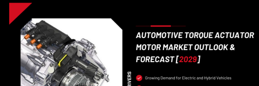Cover image for post Automotive Torque Actuator Motor Market - A Comprehensive Report [2029]
, by tuvia
