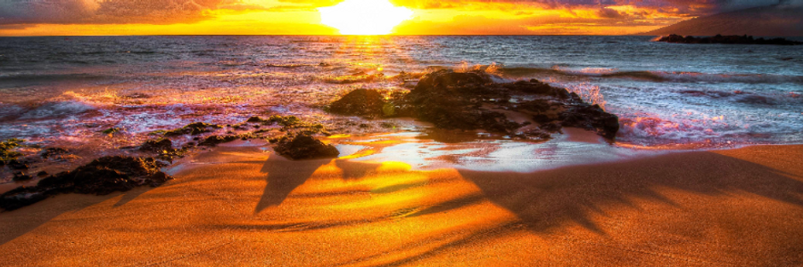 Cover image for post A Final Date in the Journal, by Last