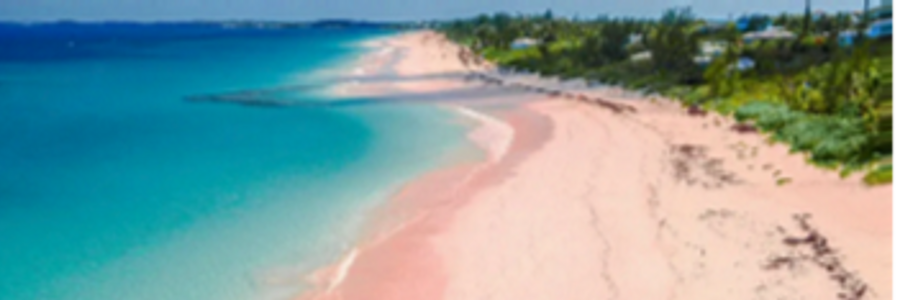 Cover image for post Finding My Truth, by Joyceanneday