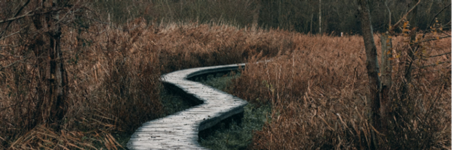 Cover image for post Applying Stoicism in 2024, by victorwolfe