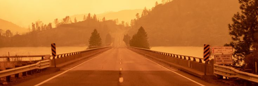 Cover image for post Funny Fire., by DimDim