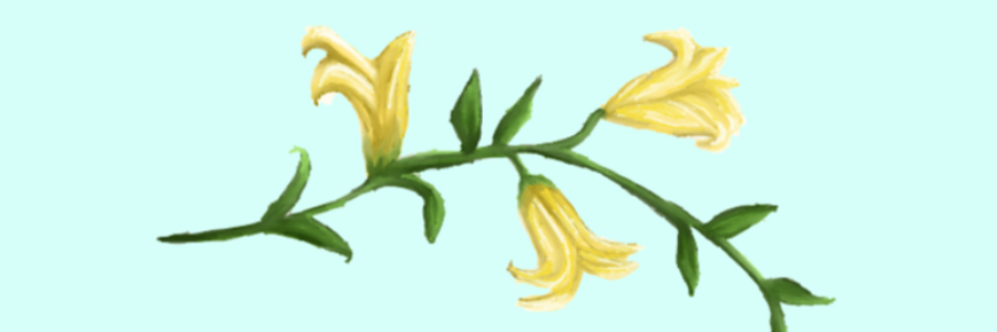 Cover image for post every spring, children eat honeysuckles, by graceinpoetry