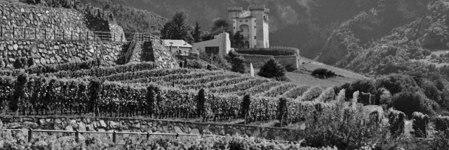 Cover image for post Italia, by Leftyguitarist9