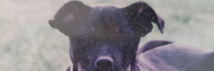 Cover image for post Kara, by dctezcan