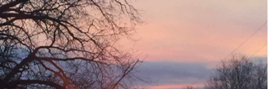 Cover image for post Madness, by Joyceanneday