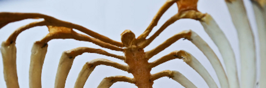 Cover image for post I’m fine, by unfamiliar