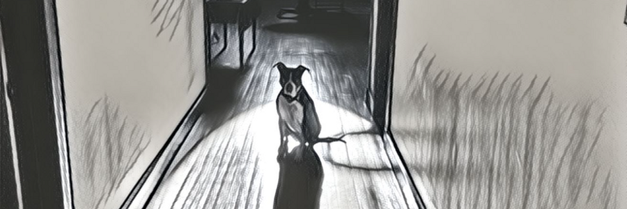 Cover image for post Sluggo, by GerardDiLeo