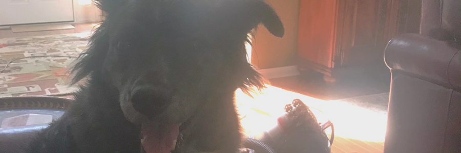 Cover image for post I Killed the Alien (Vacuum), by CynthiaCalder