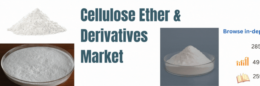 Cover image for post Cellulose Dynamics: Forecasting the Future of Ether & Derivatives, by purva612