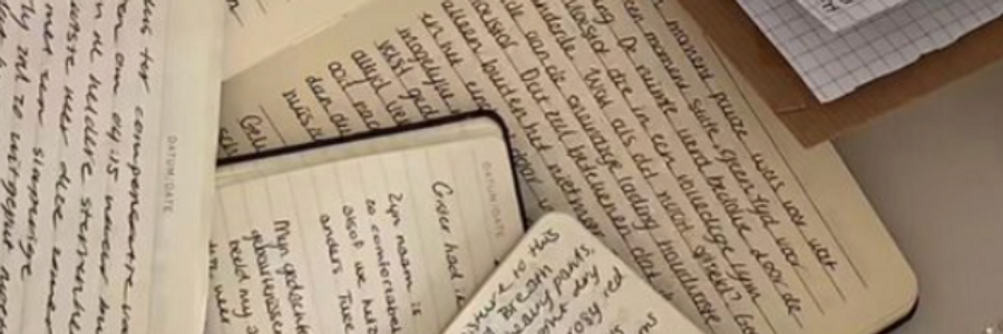 Cover image for post Why I Write , by DandelionWine