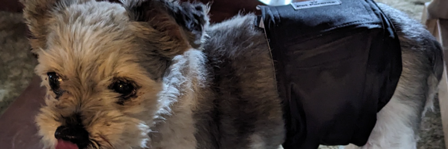 Cover image for post Back in Diapers, by xplodingunicorn