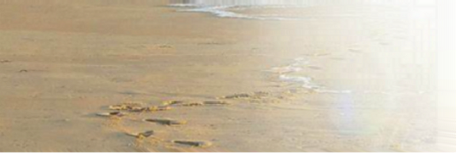 Cover image for post Footprints in the sands, by Last