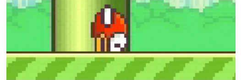 Cover image for post Ignorant Bird, by chikooi