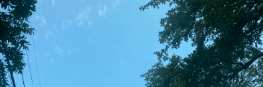 Cover image for post Awaken , by Slayhermike