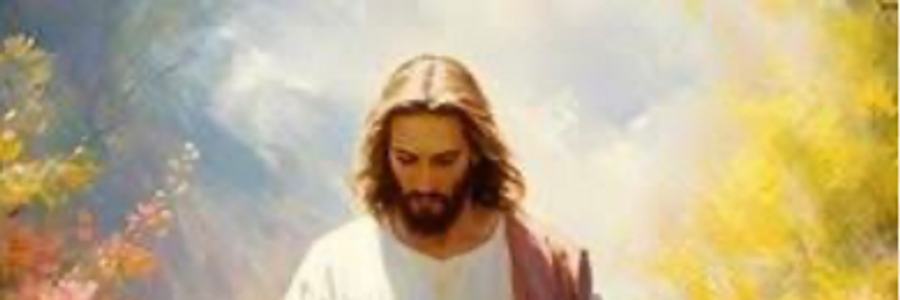 Cover image for post Your Ultimate Design, by SalwaSamra