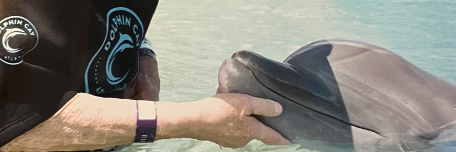 Cover image for post Tides and Wells, by Ferryman