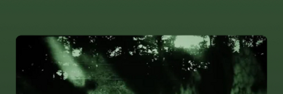 Cover image for post She Is Gone, by Slayhermike