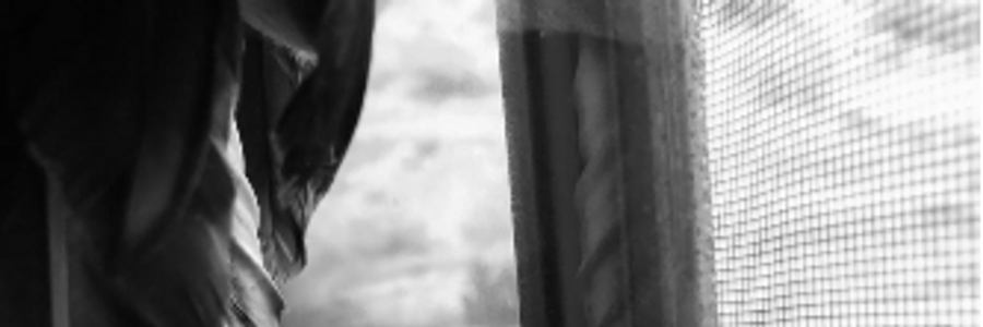 Cover image for post Albatross , by Mamba