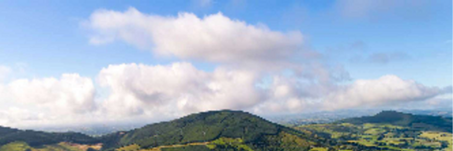 Cover image for post Coven, by Jona