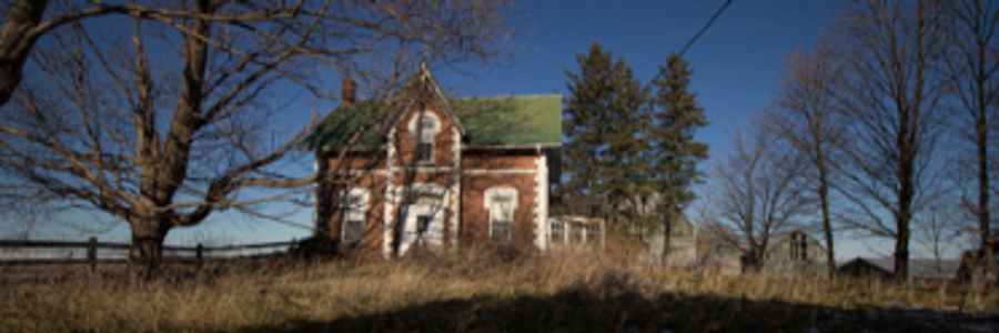 Cover image for post This Perfect Day..., by Bunny