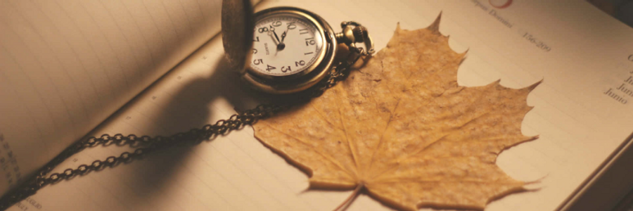 Cover image for post Apparently I also had a Diary Entry (Clearing Drafts (:), by Chacko_Stephen