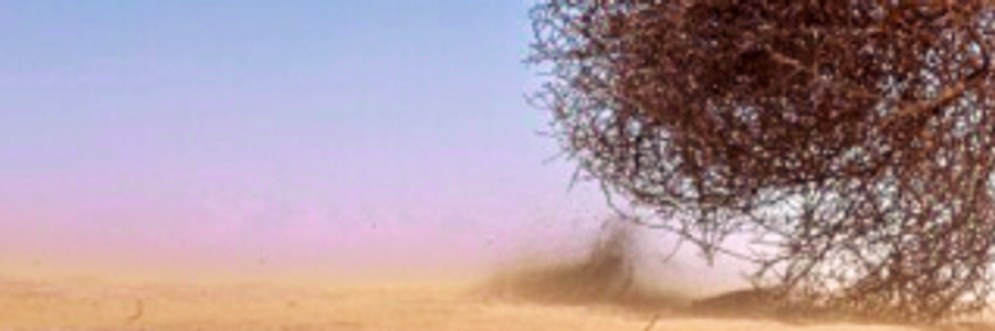 Cover image for post A One Kind of Giver, by Clburdett