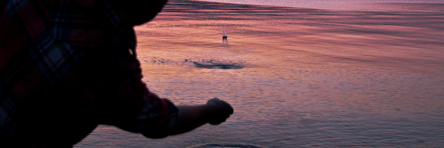 Cover image for post Scar Baby (A Cleanly Cut Stone), by Bunny