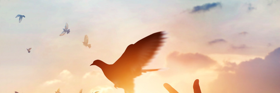 Cover image for post MOTHER EARTH — ALEXIS KARPOUZOS, by alexiskarpouzos