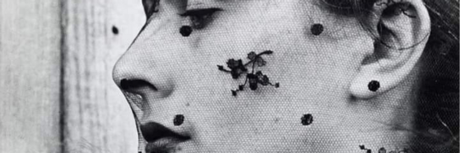 Cover image for post Reflections by Still Waters, by Bunny