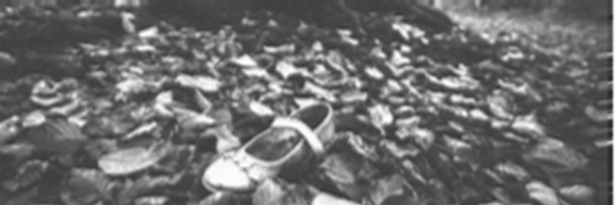 Cover image for post The Displaced Shoe, by CynthiaCalder