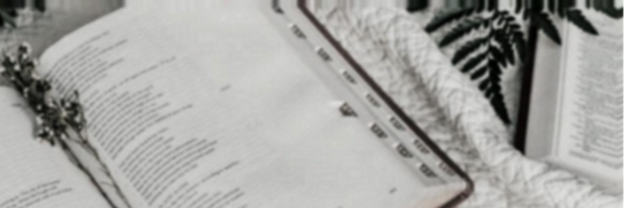 Cover image for post Lessons Learned, by CynthiaCalder