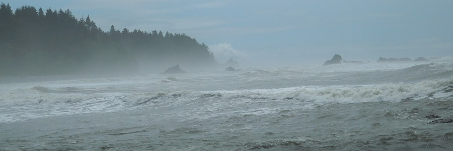 Cover image for post Ruby Beach, by ModernAntigone