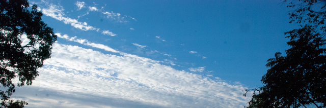 Cover image for post Untitled, by TheroneShellman