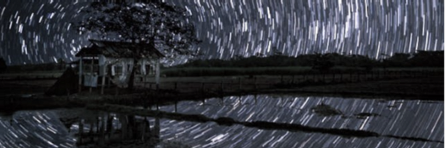 Cover image for post Twaining....., by CynthiaCalder