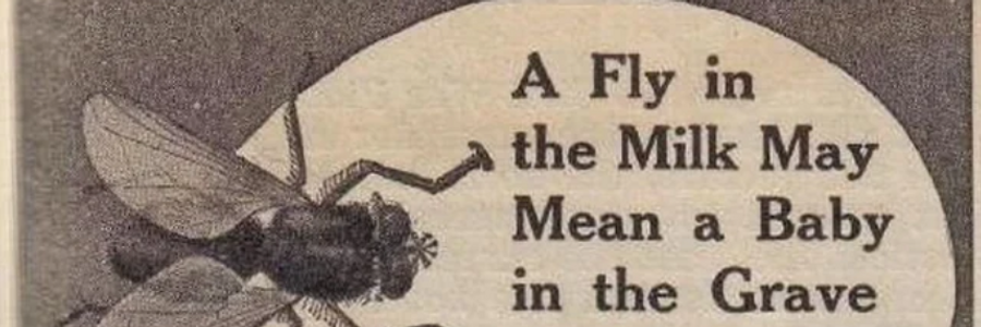 Cover image for post Night Toucher, by Bunny