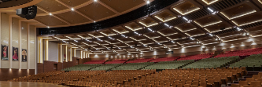 Cover image for post The Auditorium , by Dionysian66