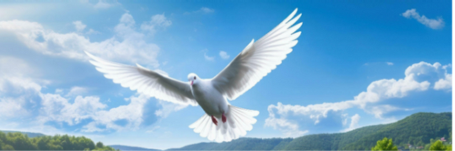 Cover image for post Dove, by hunter_graham