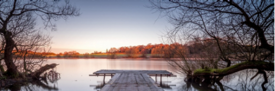 Cover image for post Fortunate Son , by hunter_graham