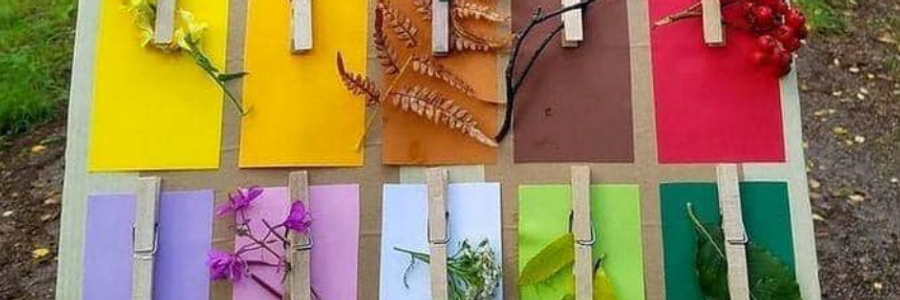 Cover image for post clover , by Plexiglassfruit