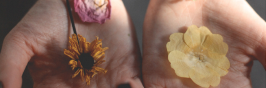 Cover image for post We Are What We Grow, by CloverWrites