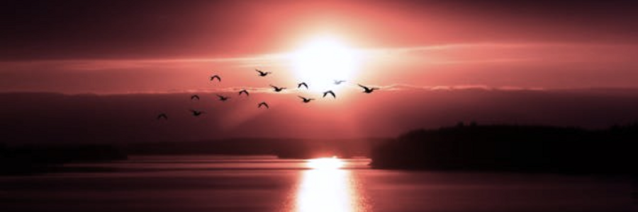 Cover image for post Echoes of Persistence, by CynthiaCalder