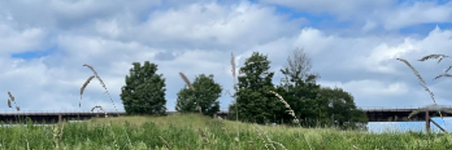 Cover image for post Apparition, by Jessi