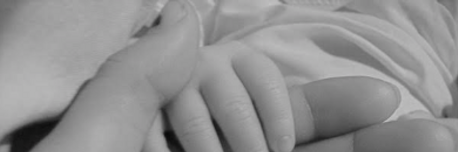 Cover image for post Born, by Lincoln