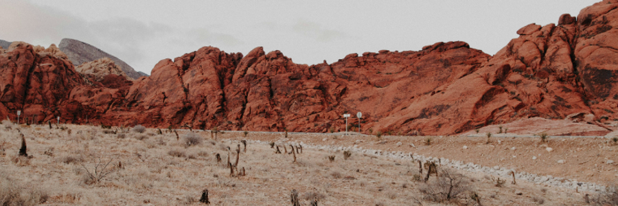 Cover image for post The Sweltering Desert..., by SarahD