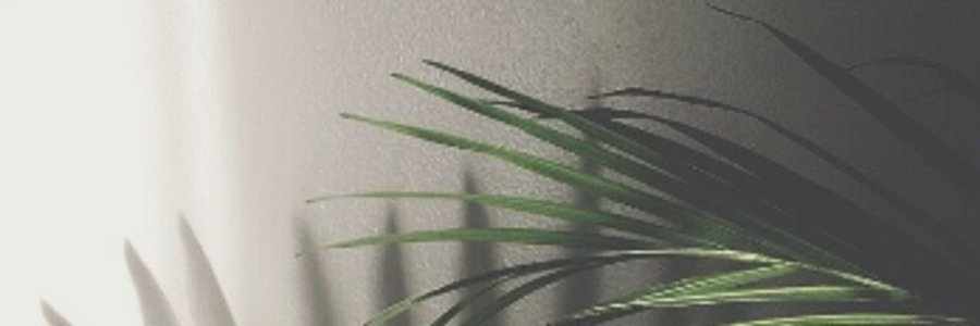 Cover image for post How far I’ve come, by KadyQuill