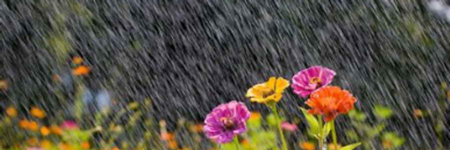 Cover image for post In due time, by Mariah